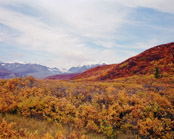 Alaskan Topographics